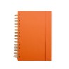 Imagem 7
